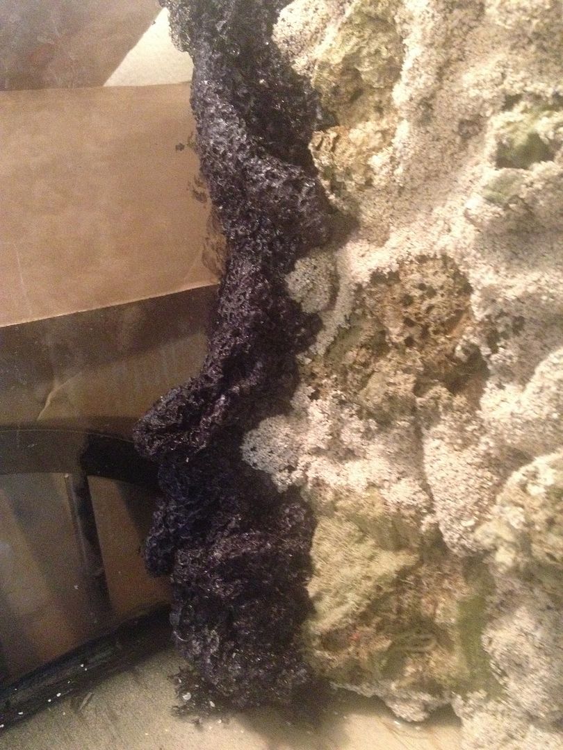 Diy foam rock back wall. REEF2REEF Saltwater and Reef Aquarium Forum